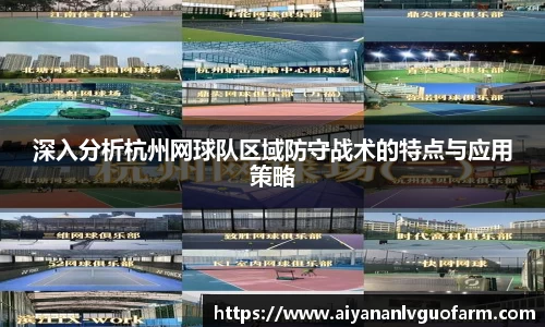 深入分析杭州网球队区域防守战术的特点与应用策略