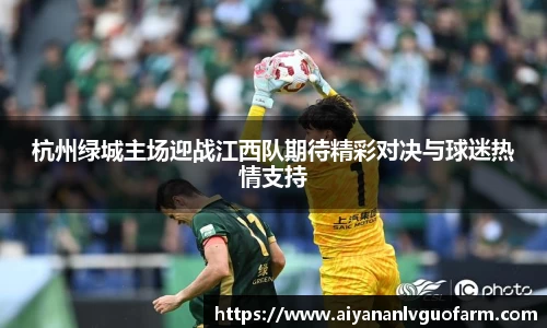 杭州绿城主场迎战江西队期待精彩对决与球迷热情支持